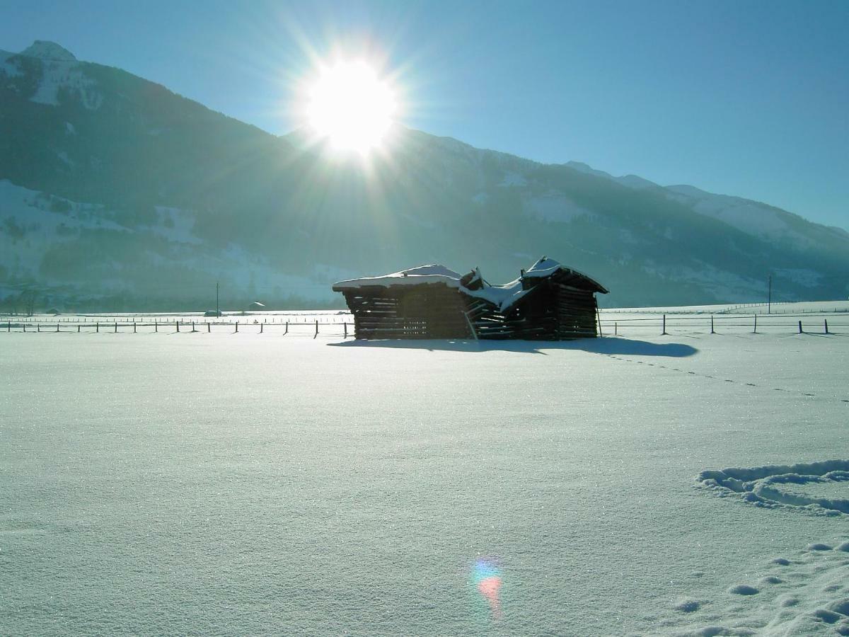 Ferienwohnung Ferienhaus Hohe Tauern in Piesendorf Exterior foto